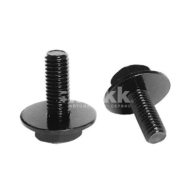 Болт М 5*19 с прессшайбой D5*12.4 Н-2085