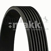 Ремень поликлиновой 7 PK 1687 MV Continental