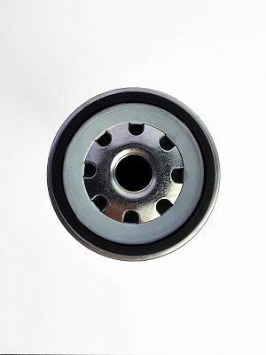 Фильтр топливный Hengst H710WK (PL 420 x) DAF 75CF, 85CF, 95XF, CF75 для PreLine