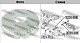 Эксцентрик NISSAN QASHQAI задний 0230-008 Febest