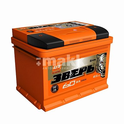 Аккумуляторная батарея 60 ЗВЕРЬ EFB о/п 24,2*17,5*19