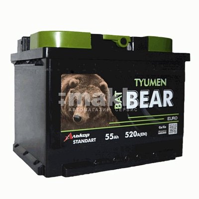 Аккумуляторная батарея 55 Ач Tyumen BatBear о/п  24,2*17,5*19