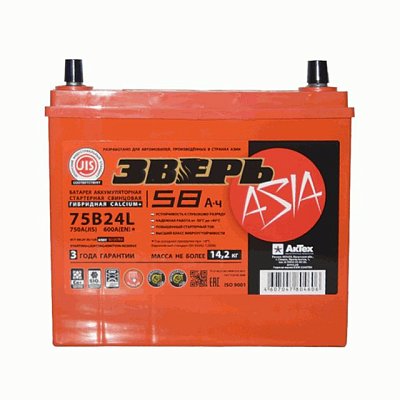 Аккумуляторная батарея 58 Ач ЗВЕРЬ Asia (75B24L) о/п  23,8*12,9*22,5