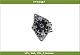 Генератор KIA CEED (07-) Elantra (06-) Cerato II (09-) 2.0i 12V, 90A TT12387 Tesla Technics