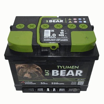 Аккумуляторная батарея 55 Ач Tyumen BatBear о/п  24,2*17,5*19
