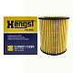 Фильтр масляный Hengst E20H01 D293 (HU 711 X, HU 711/2 X,  O-406) Ford Mondeo; Mazda 6