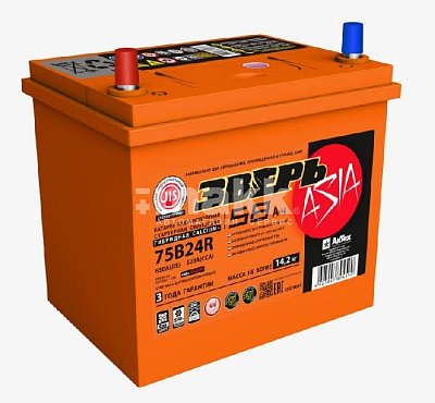 Аккумуляторная батарея 58 Ач ЗВЕРЬ Asia (75B24R) п/п 23,8*12,9*22,5