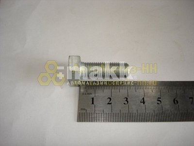 Болт М10*1,25*30 подвески (1/13069/21) (10шт/уп)