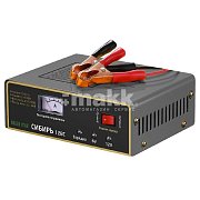 Зарядное устройство Green Star Сибирь 128С (6V-5А /12V-8.5A)