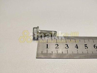 Болт М6*1*20 с фланцем кл.пр. 8.8 БелЗАН (20шт/уп)