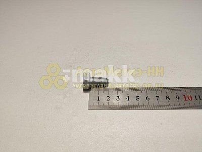 Болт М10*1,25*20 крепления кроншт.генератора (8.8)
