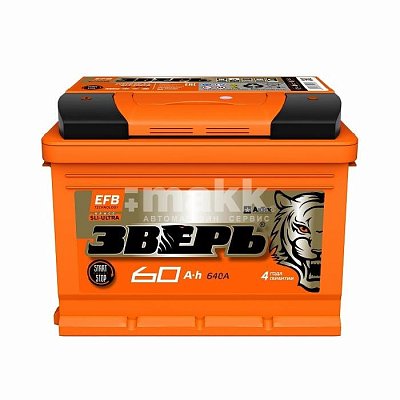 Аккумуляторная батарея 60 ЗВЕРЬ EFB п/п 24,2*17,5*19
