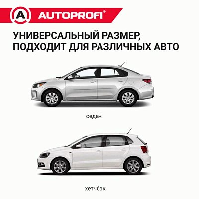 Чехол защитный всесезонный для стекол Autoprofi 292х249 см размер L CAP200