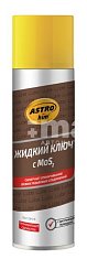 Ключ жидкий ASTROhim 335мл аэрозоль АC451