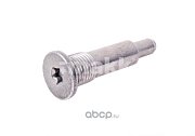 Болт крепления ГРМ Peugeot/Citroen 0820.27 OEM