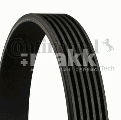 Ремень поликлиновой 6 PK 730 /  287 Continental