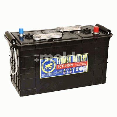 Аккумуляторная батарея 215 Ач 6V ПП (Тюмень) сухой 41,7*18,3*24,3