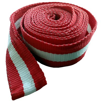 Трос 12т 5м буксировочный ленточный 2 петли в сумке Green Star