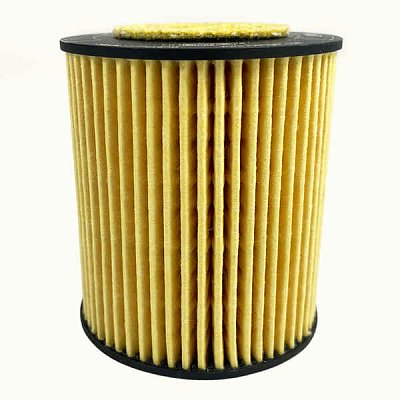 Фильтр масляный Hengst E20H01 D293 (HU 711 X, HU 711/2 X,  O-406) Ford Mondeo; Mazda 6