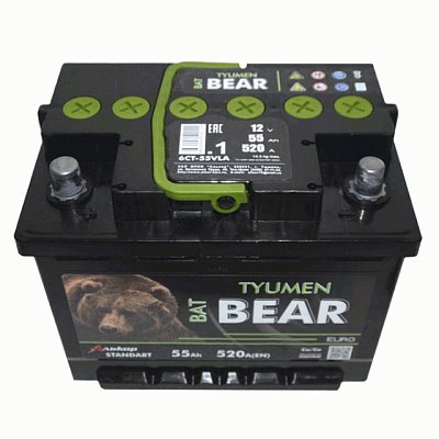 Аккумуляторная батарея 55 Ач Tyumen BatBear п/п  24,2*17,5*19