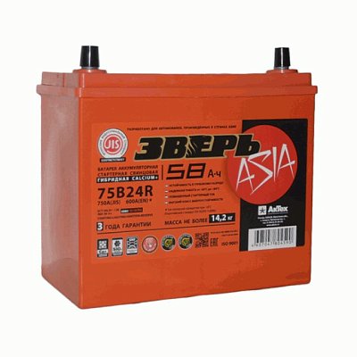 Аккумуляторная батарея 58 Ач ЗВЕРЬ Asia (75B24R) п/п 23,8*12,9*22,5